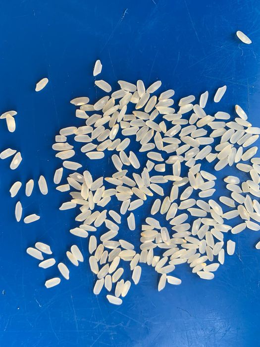 Лазер Аланга курыш бар