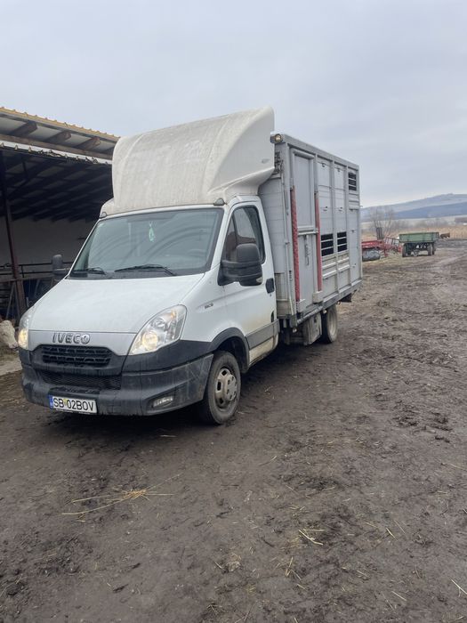 Transport animale vii