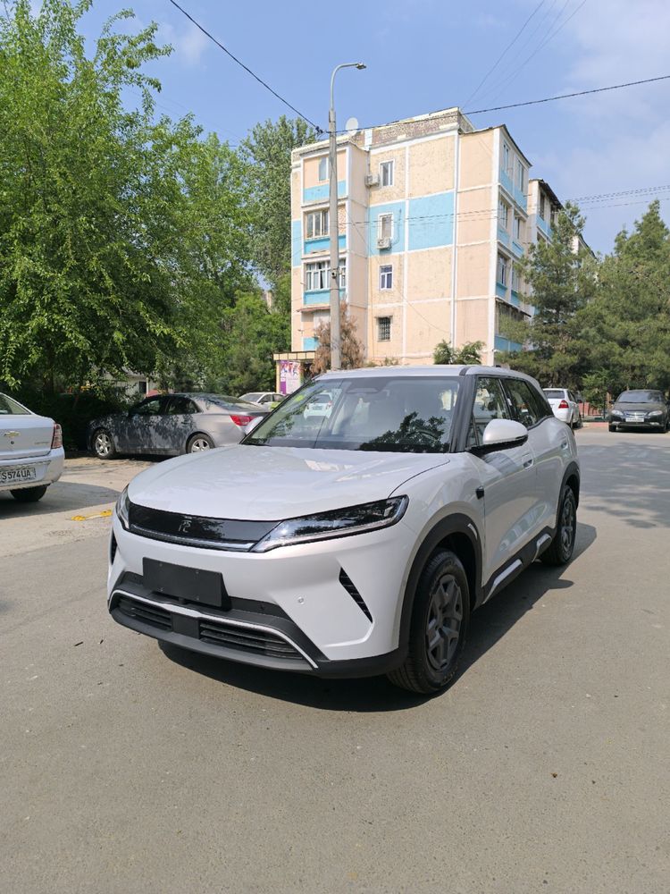 Yuan Up 401km smart