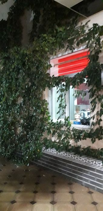 Vadakachkada hovli sotiladi!