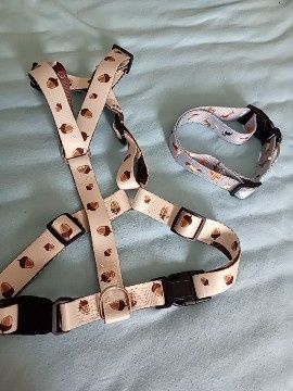 Нагръдник и нашийник 2 в 1 ,Светеща ножичка за котки и кучета