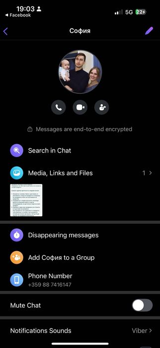 Булчинска Рокля на Demetrios Bride