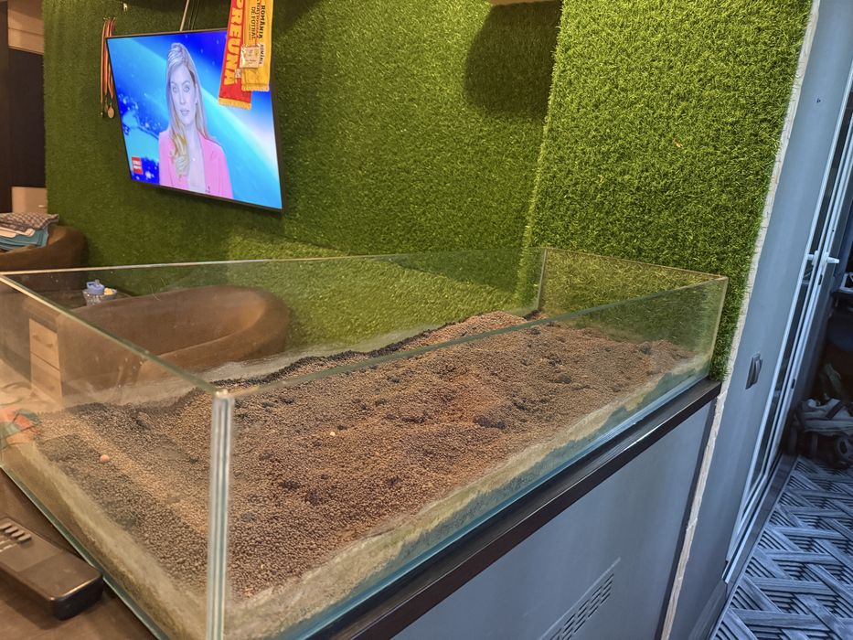 Acvariu pentru pesti