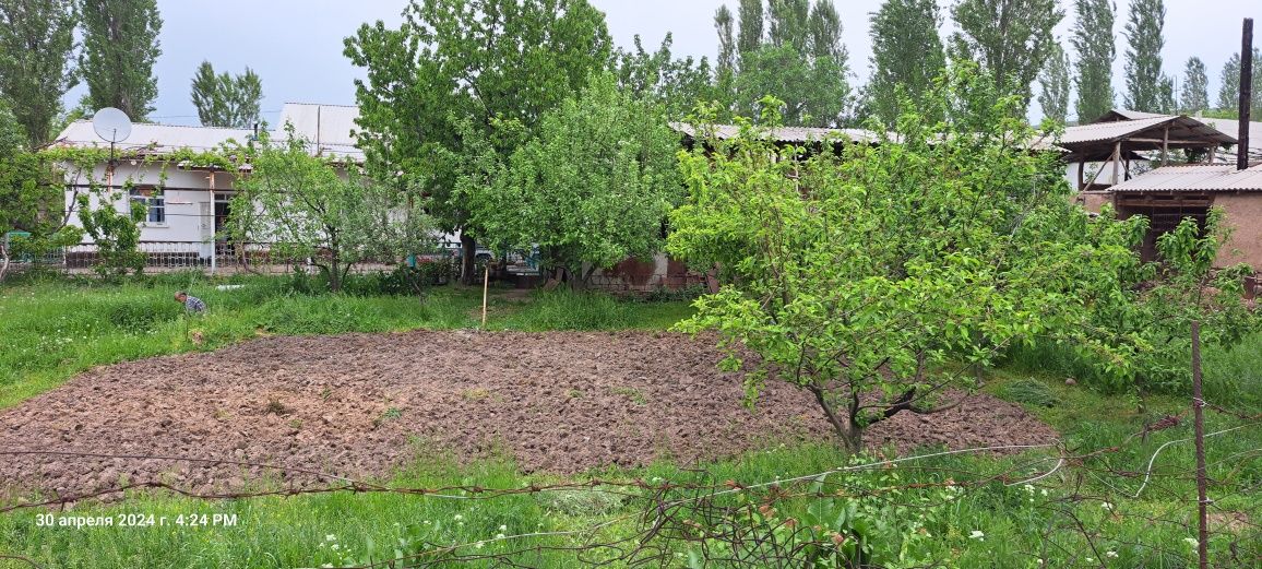 30 соток. Дачабоп хавоси тоза, ёзда салкин, 4 та дача курса болади