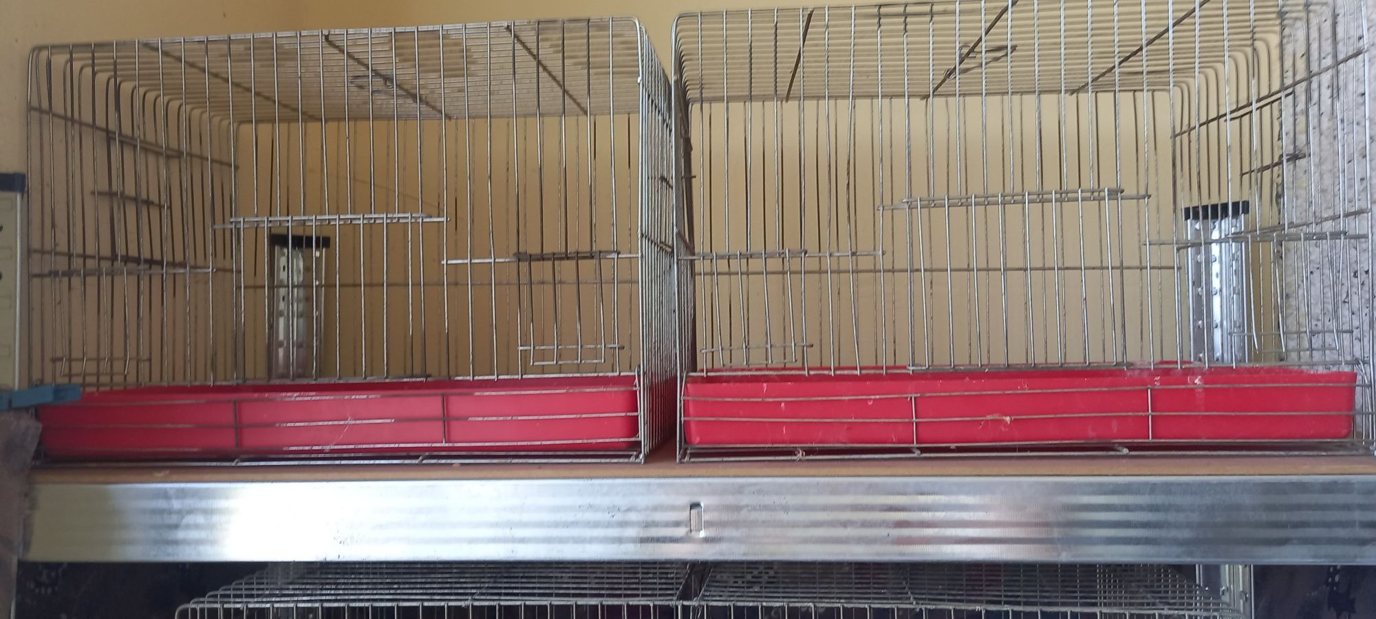 Клетки за канари