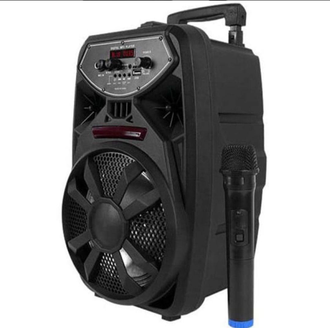 Kолона PK-09L с вграден усилвател, 8 инча 300W LED екран микрофон
