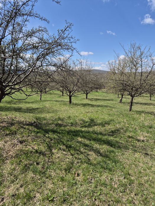Teren extravilan zona de deal, 12 ha