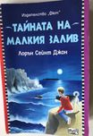 Тайната на малкия залив, Лорън Сейнт Джон