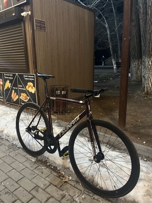 Фикс tsunami snm100