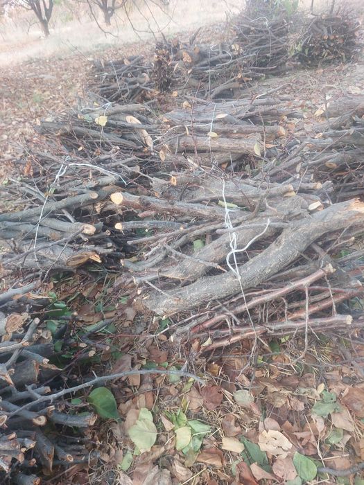 отын сатылады срочно