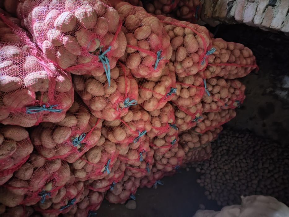 Cartofi roși de consum