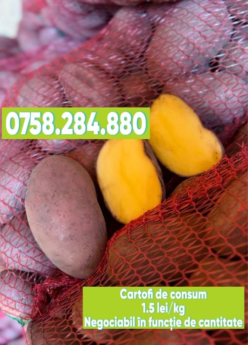 Cartofi de consum alb-rosu calitate superioara Red Lady