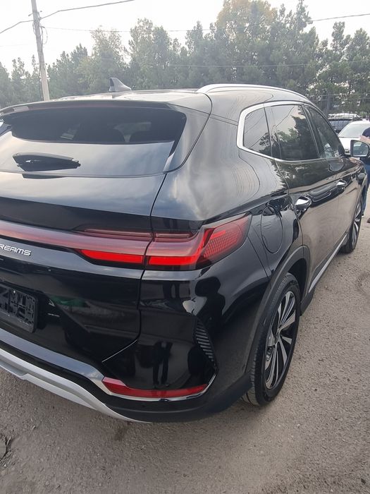 BYD chipion 605 ful