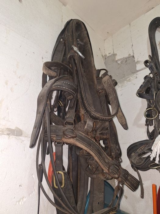 Căruță de cai si doua hamuri