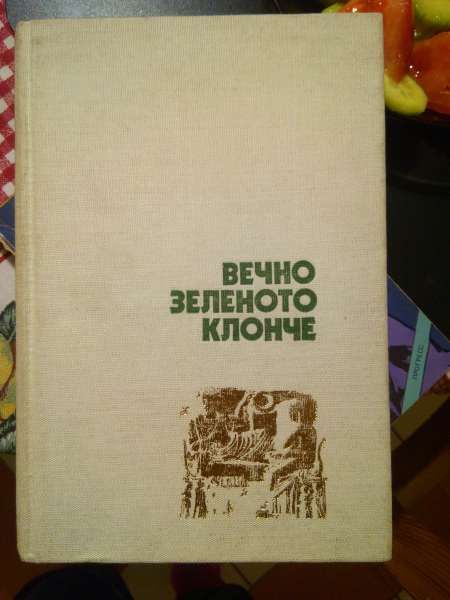 Книга за българското изкуство