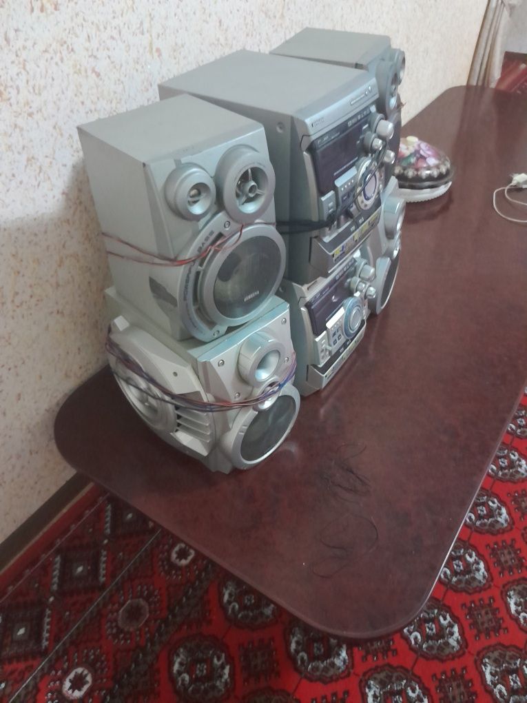 Sambufer kallonka