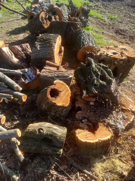 Lemne de foc foarte bune