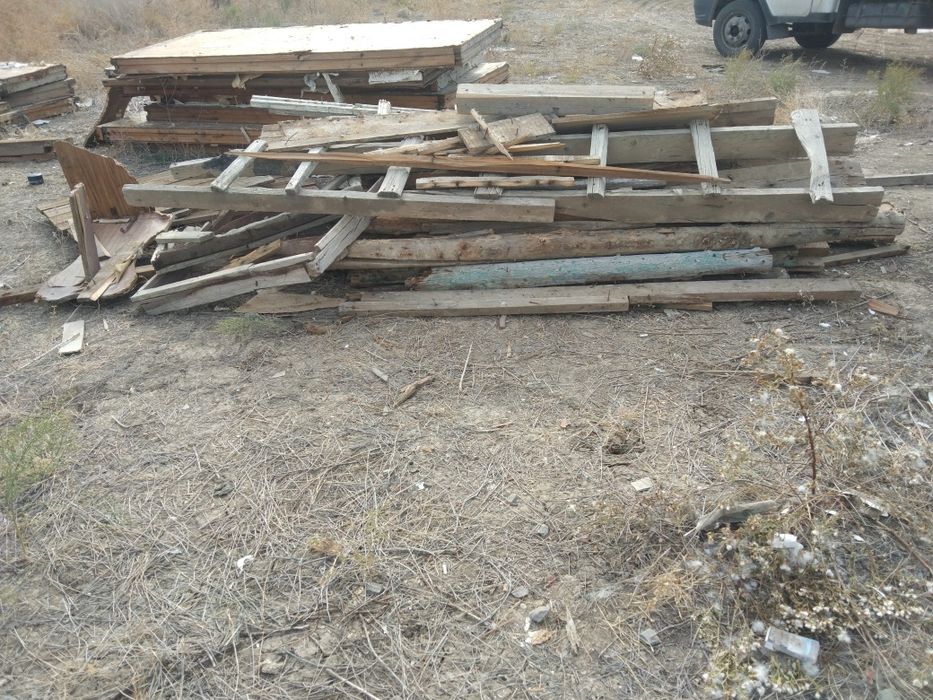 Отындык агаштар бар апарып берем