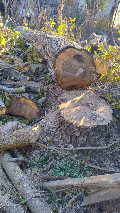 Lemn de nuc pentru mobilier