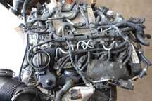 Motor 1,6TDI*DGT>DGTD*CuAnexe70Kw2019Eu6 VwPolo6SeatArona63000kmDelphi