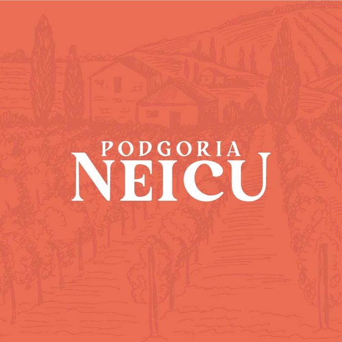 Merlot - Struguri de Vin - Merlot sau Feteasca - De La PRODUCATOR