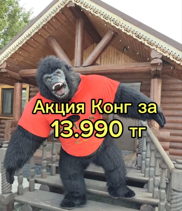 КИНГ Конг/Конг/БЕЛЫЙ Мишка/УМКА/Мишки Тедди/Аниматоры/Поздравление