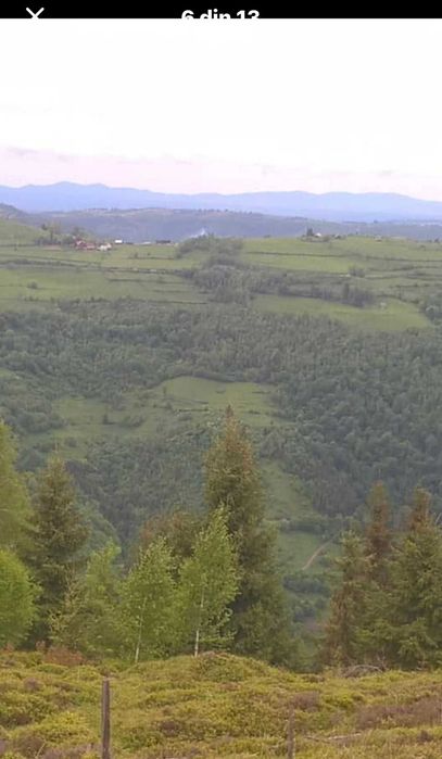 Vând teren ideal pentru cabană - Măguri-Răcătău (2000mp)