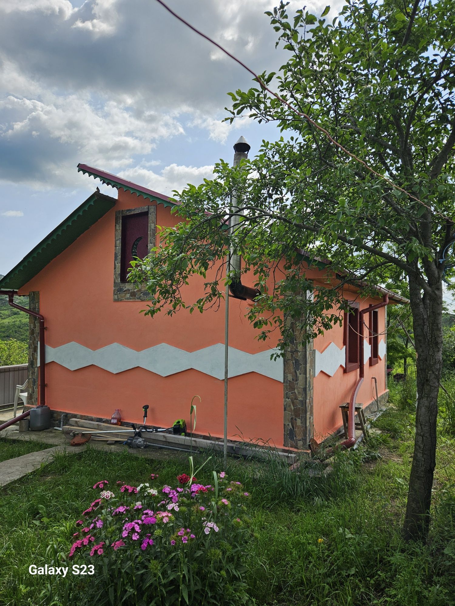 Vând 8 vaci Balțată Românească + casă de locuit + teren