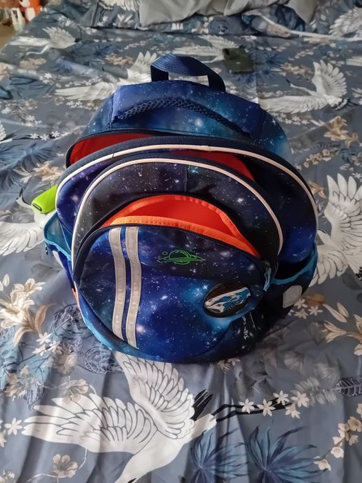 Ghiozdan Tiger Family