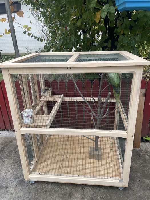 Vand colivie si papagal marele alexander