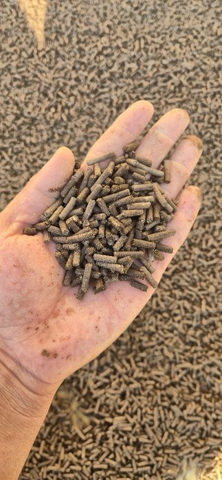 FOSFOGUM - organik mineral o'g'it