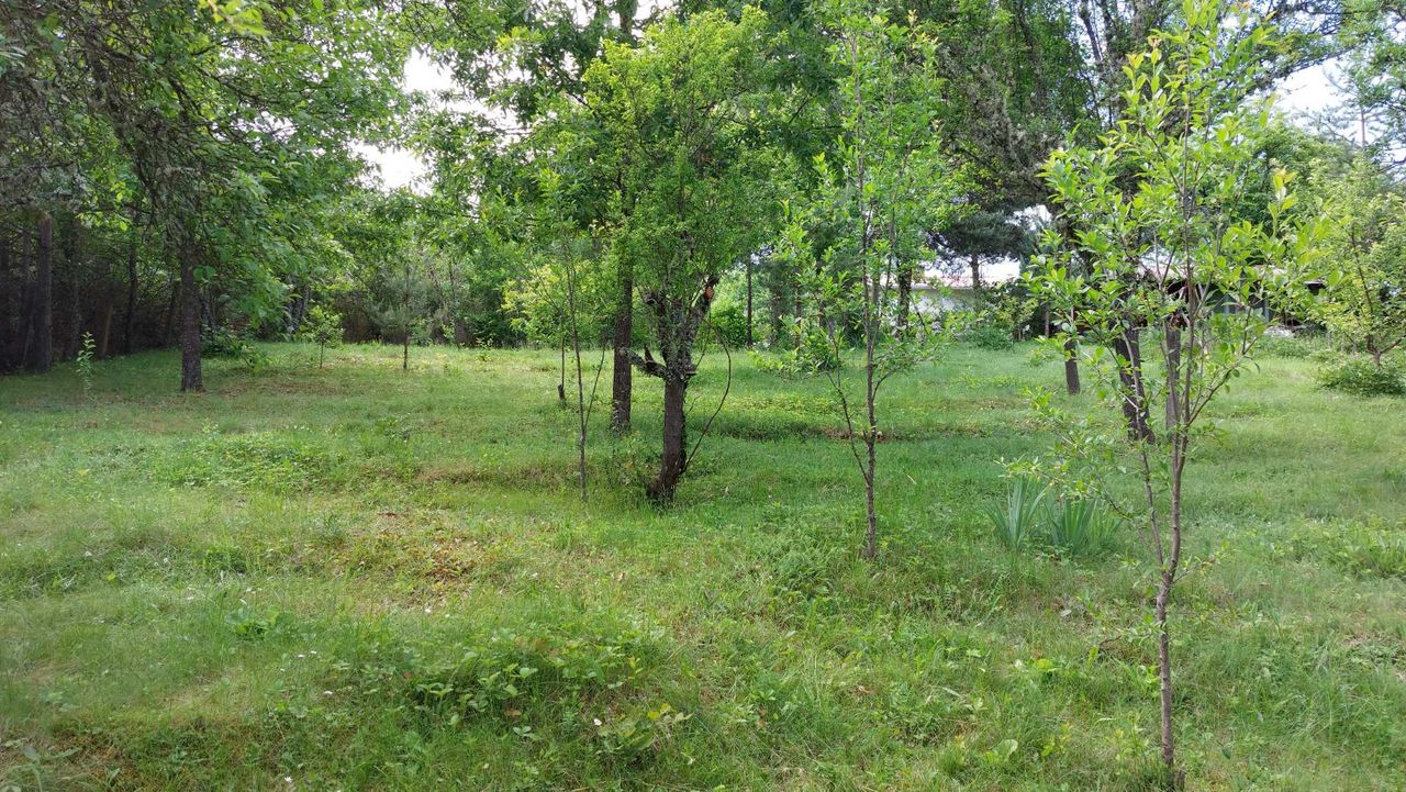 Продава се Къща в с. Егълница, Област Перник - 19 кв.м за 1053 €/кв.м - Снимка #8