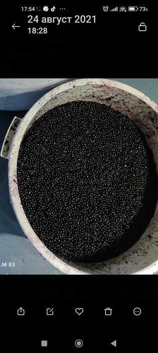 Черен БЪЗ /бъзак/ сироп