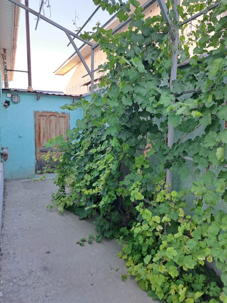 Срочно продается, красивый удобный дом со всеми удобствами.