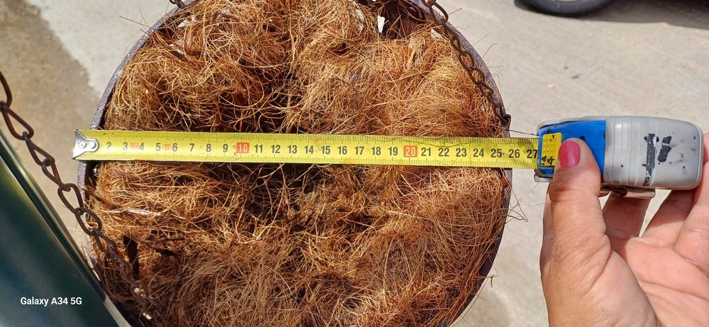 Ghiveci suspendat fonta si nuca de cocos