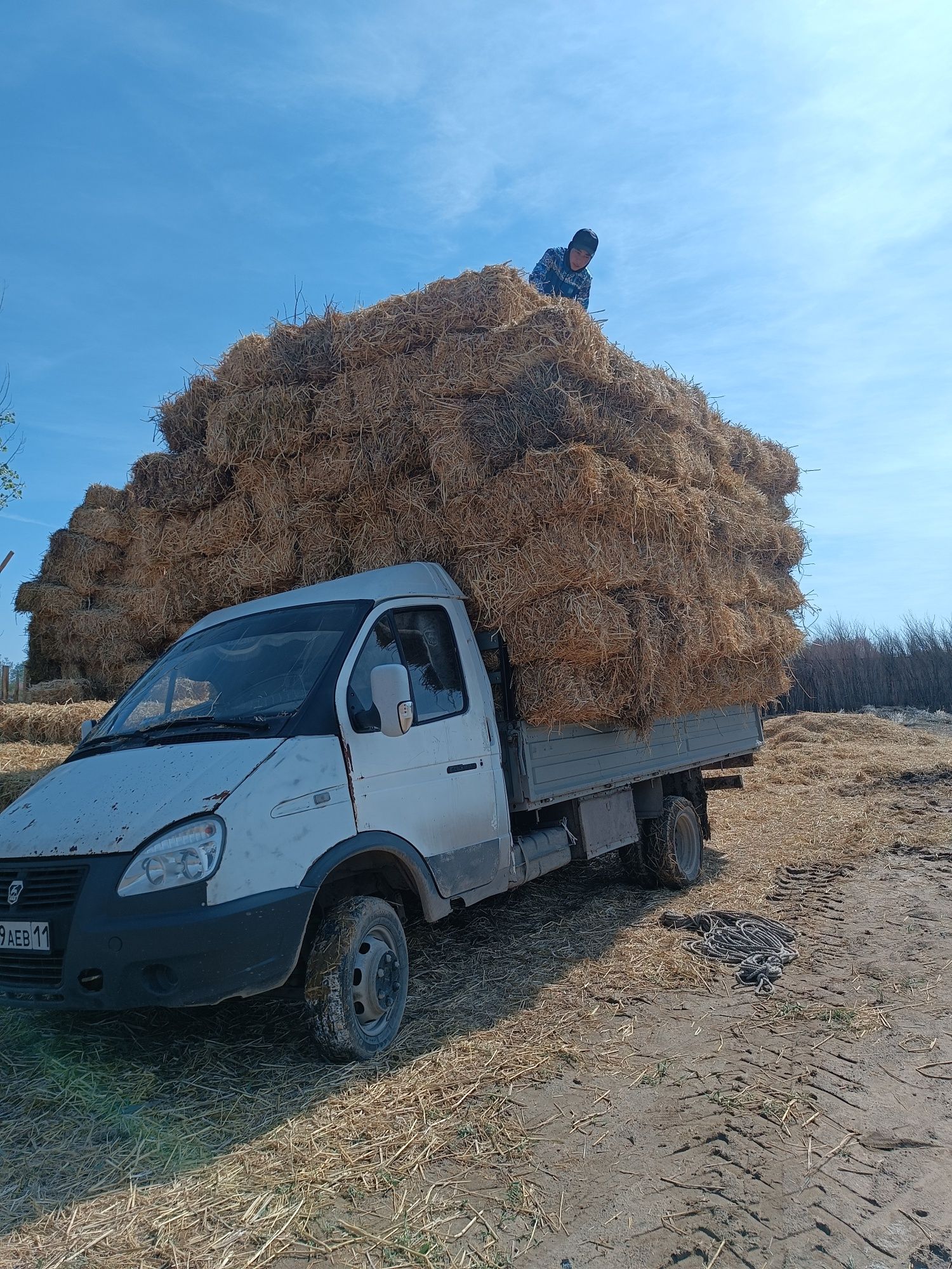 сабан прес бар стройкаға