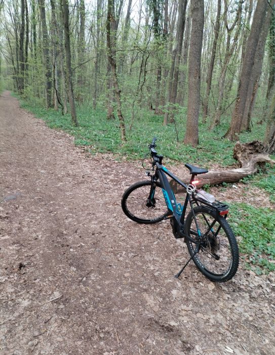 Bicicleta electrica Cube Kathmandu motor Bosch Cx line