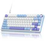 Royal kludge r75 pro