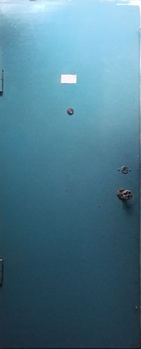 Дверь металлическая.2.5 металл