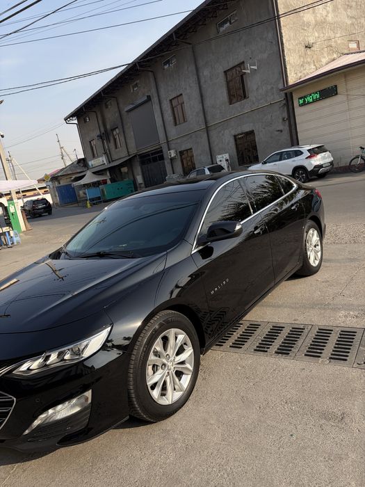 Malibu 2, 2.4 vikupga beriladi