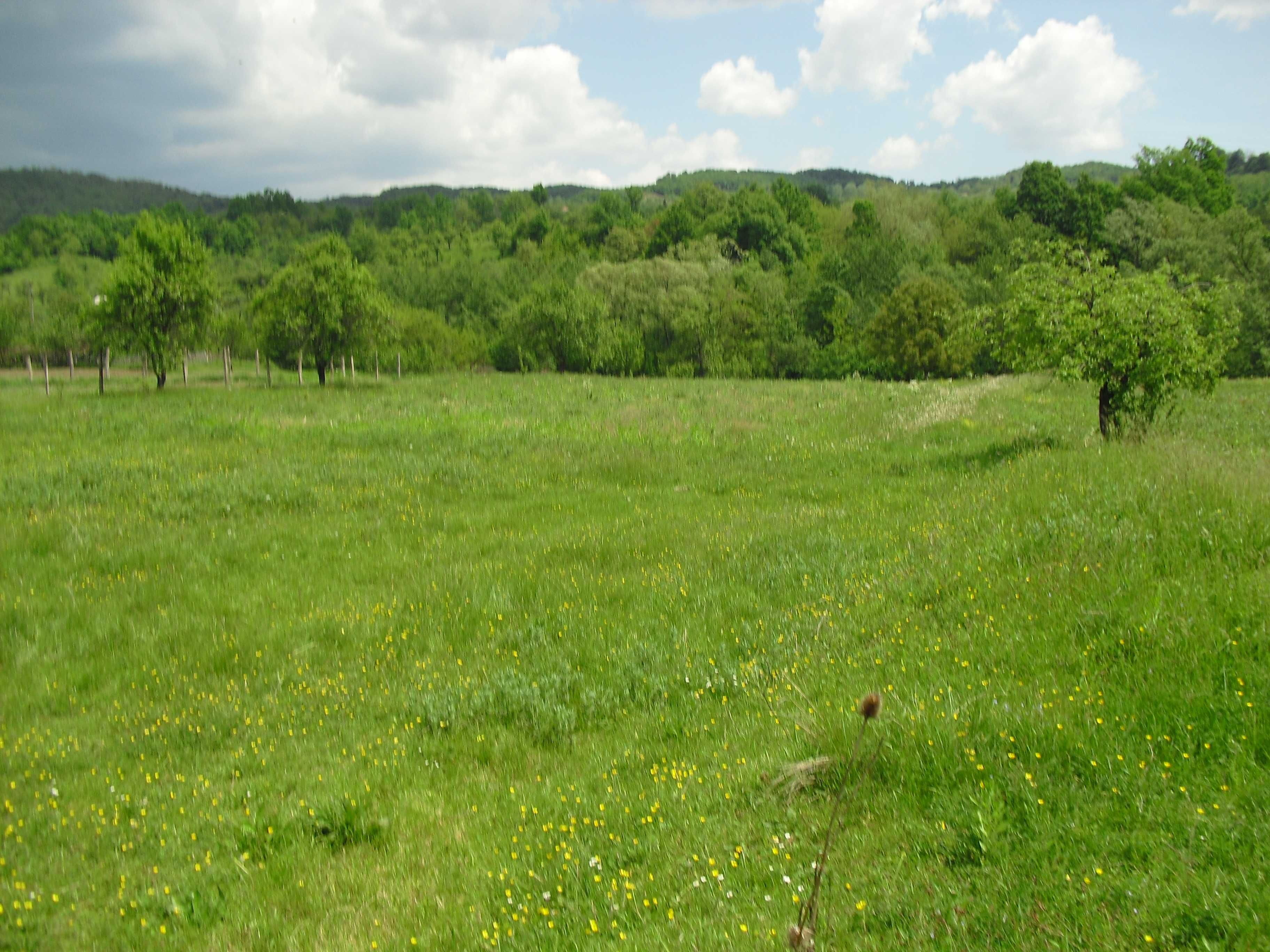 Teren Comuna Stroesti, Sat Ciresu, Judet Valcea