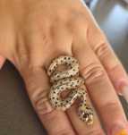 Inel de   aur  14k