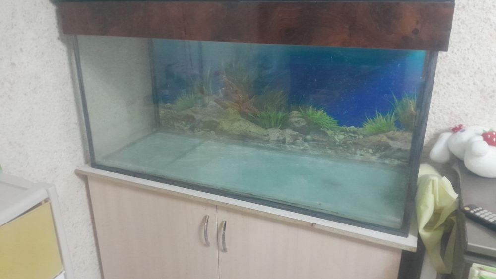 Продам акварюм на 250лит