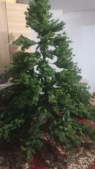 Продвм  елка бу.