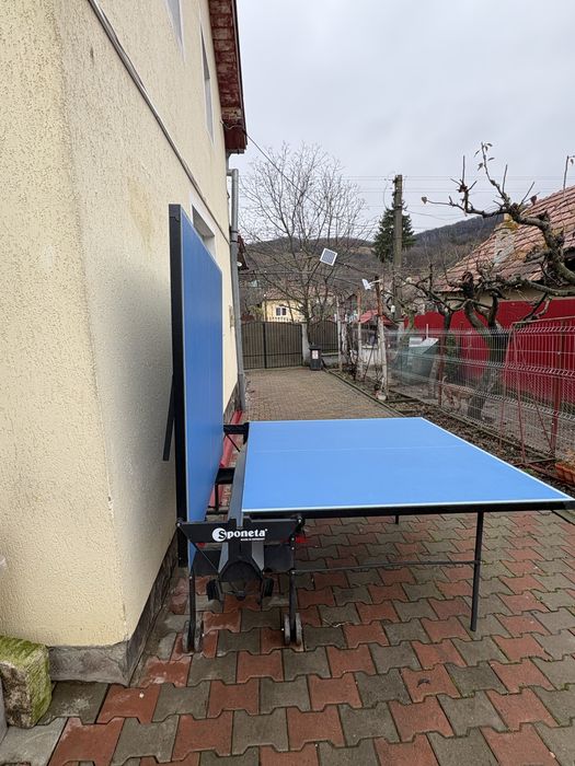 Tenis de masă ping-pong