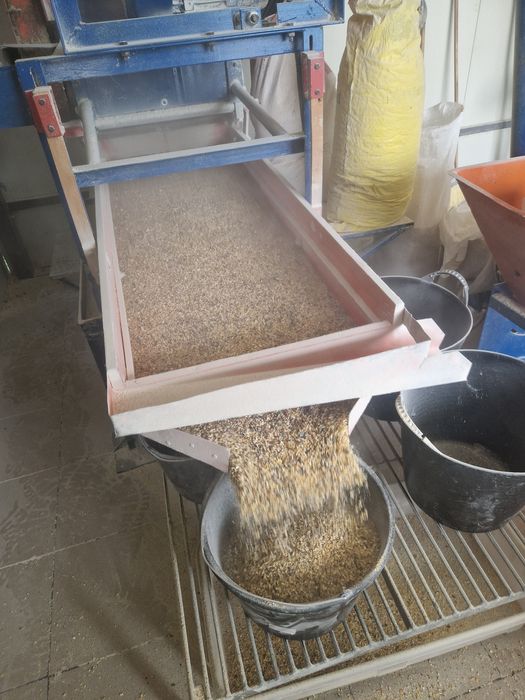 Cereale , amestec cereale ,furaj