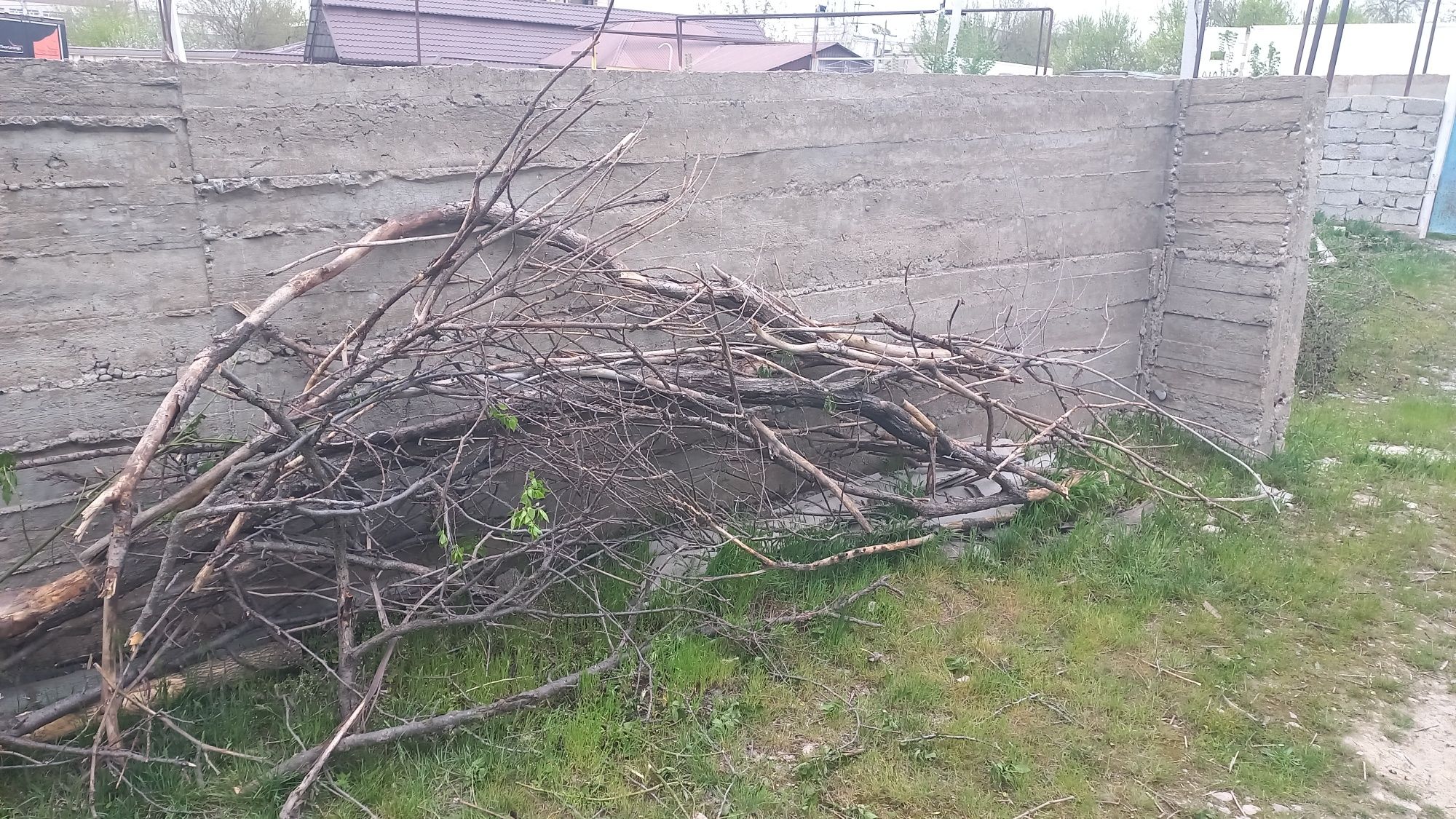 Бесплатно отдам дрова самовывоз из жилого массива дасай