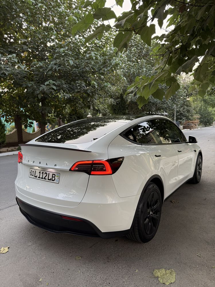 Tesla model Y Dual motor long range 2022