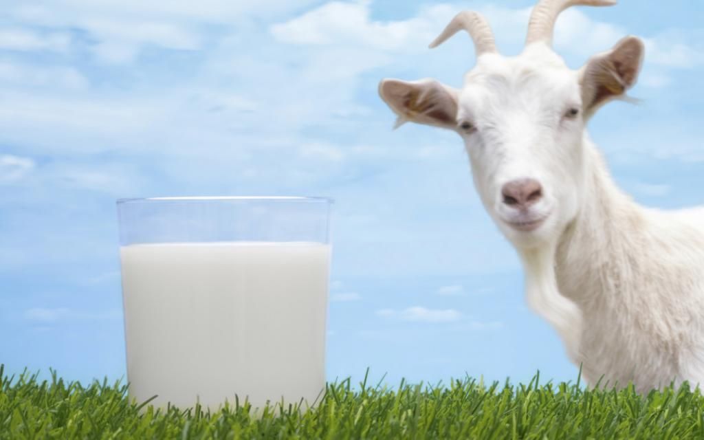 Продам  парное  свежие молоко  экологически  чистый прадукт  лечит мно