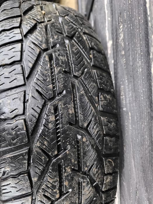 185 65 r15 iarnă Taurus